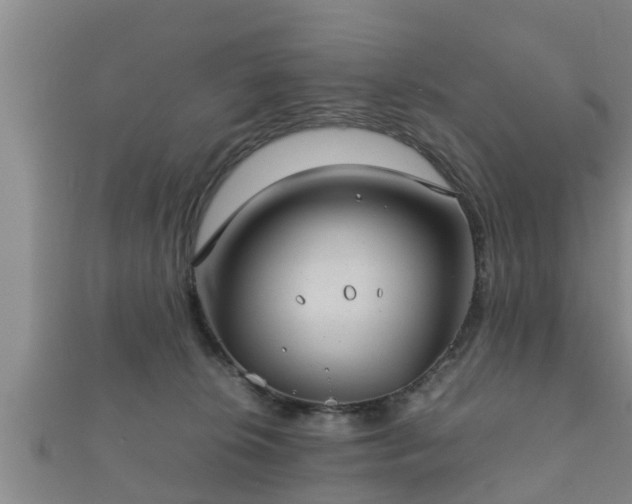 X0000112400276200908211122