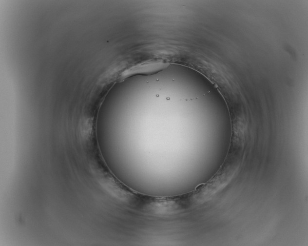X0000112400278200908211122