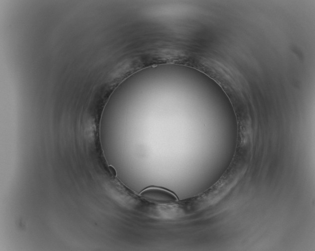 X0000112400279200908211122