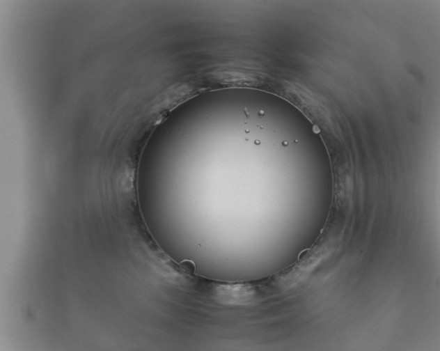 X0000112400281200908211122