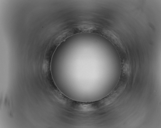 X0000112400283200908211122