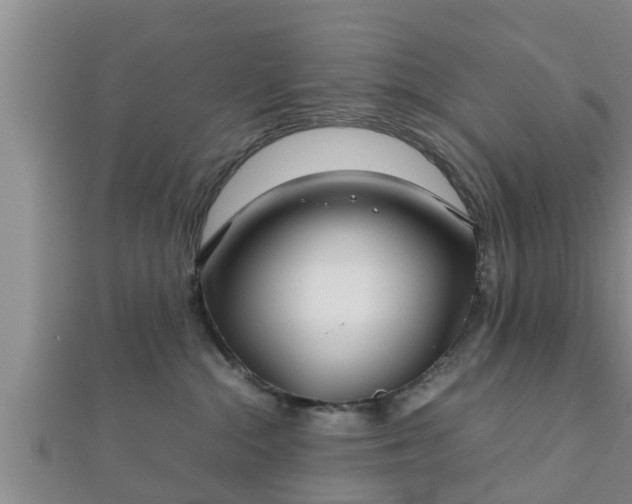 X0000112400284200908211122