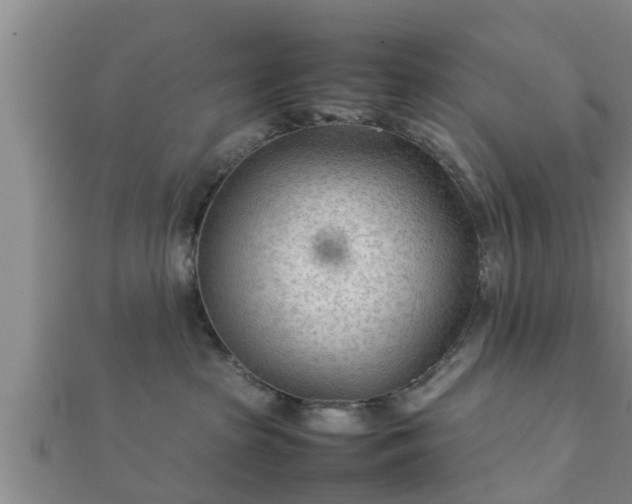 X0000112400285200908211122