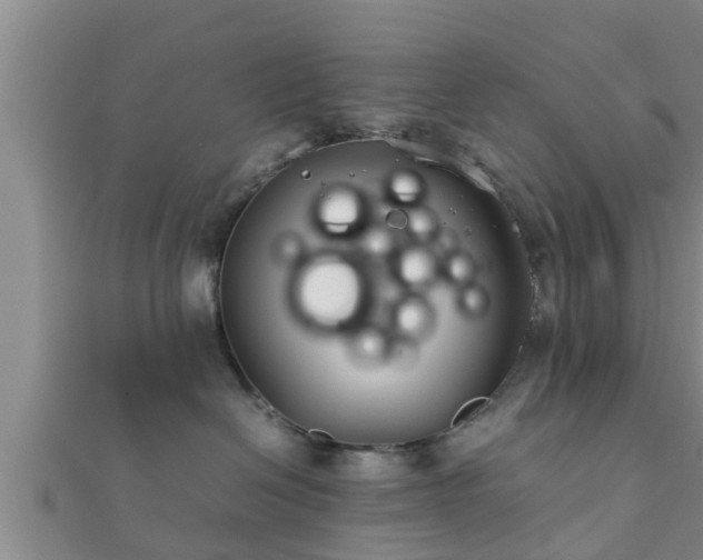 X0000112400286200908211122