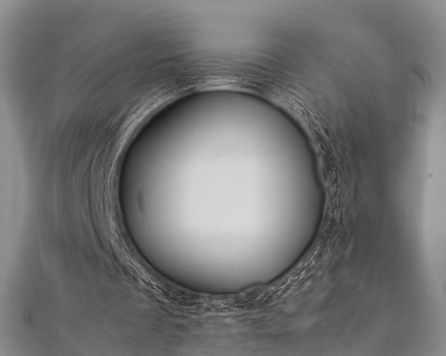 X0000112400289200908211121