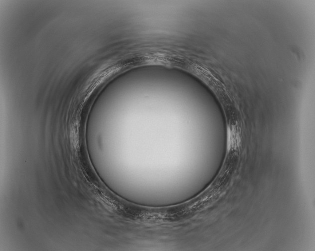 X0000112400291200908211121