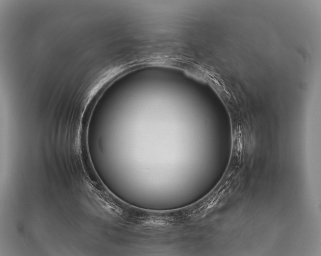 X0000112400292200908211121