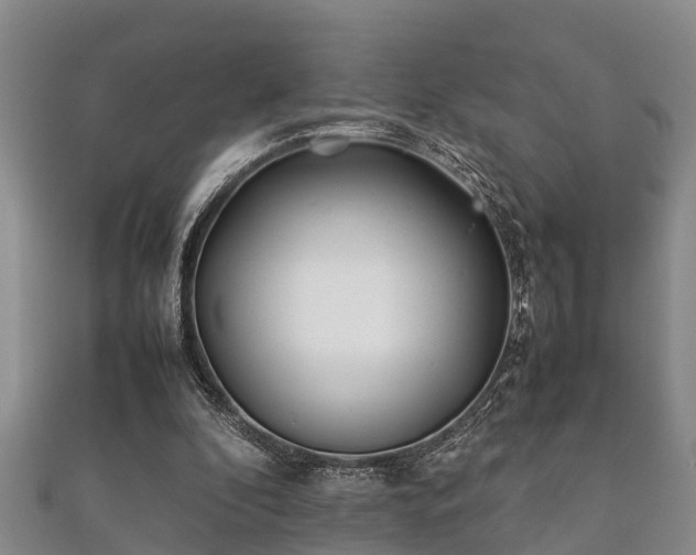 X0000112400296200908211121