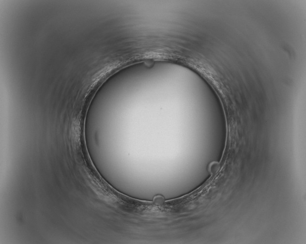 X0000112400297200908211121