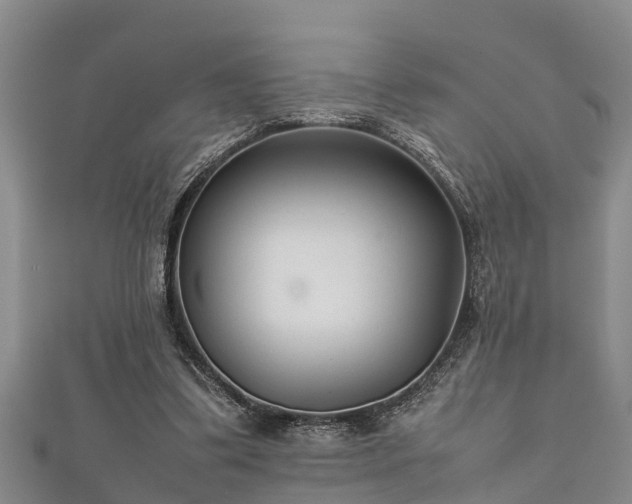 X0000112400299200908211121