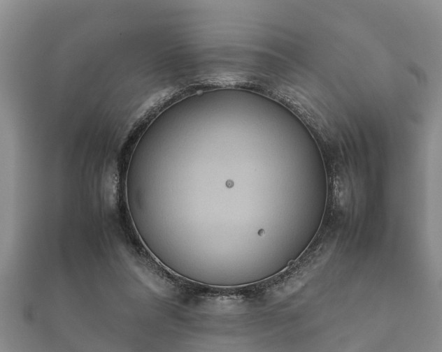 X0000112400304200908211121