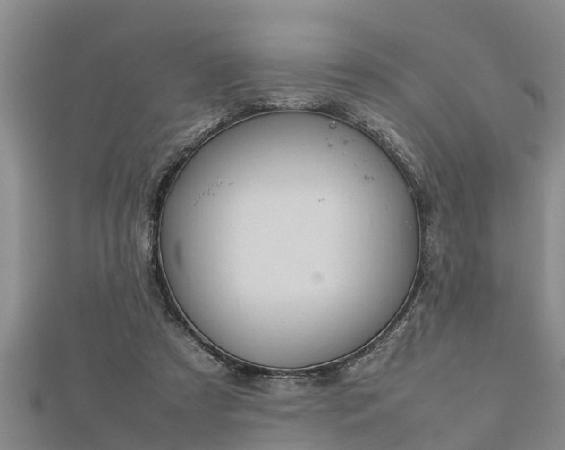 X0000112400305200908211121