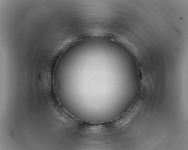 X0000112400306200908211121
