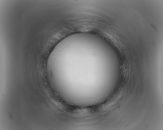 X0000112400307200908211121