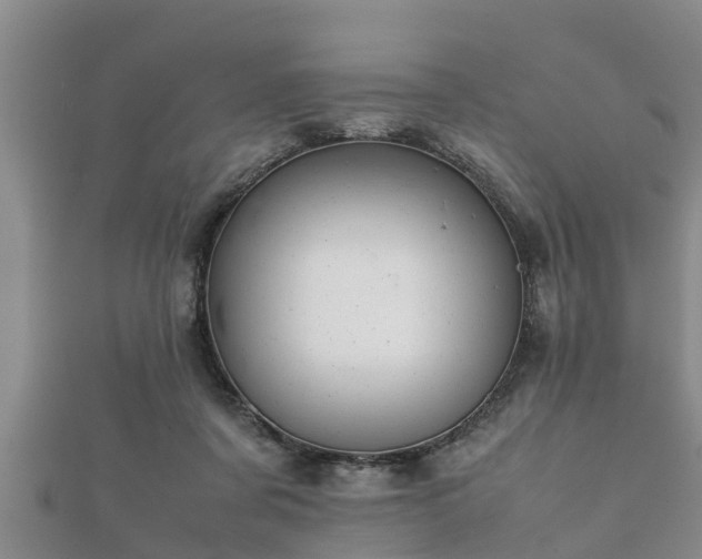 X0000112400311200908211121