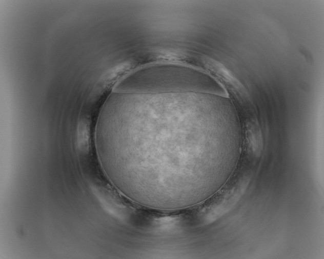 X0000112400312200908211121