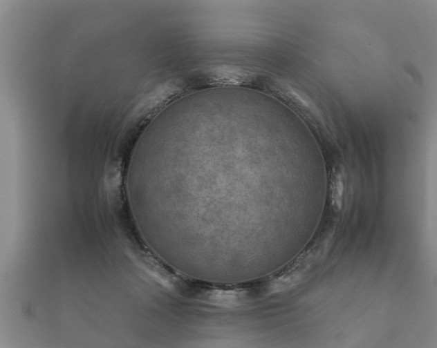 X0000112400314200908211121