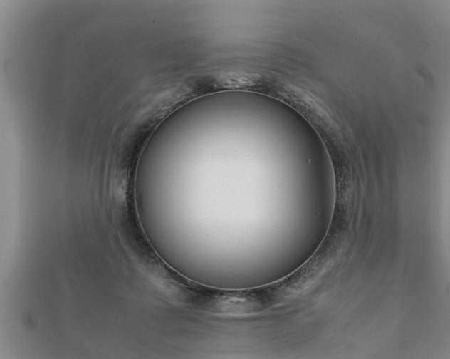 X0000112400315200908211121