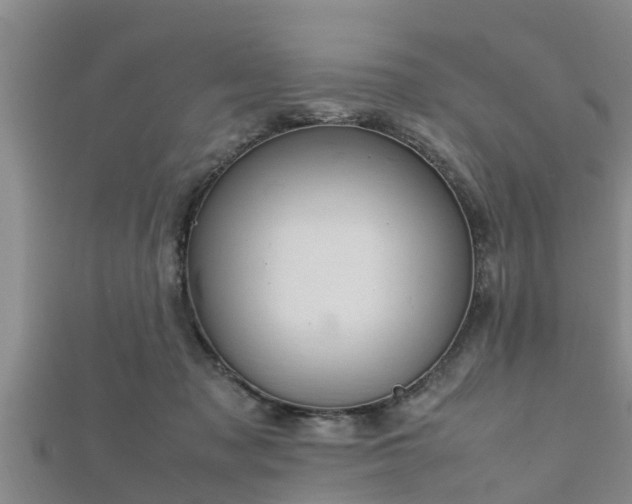 X0000112400317200908211121