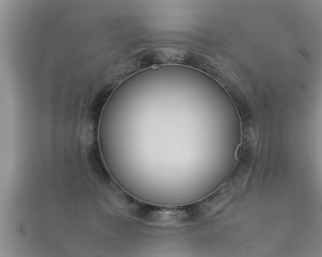 X0000112400323200908211121