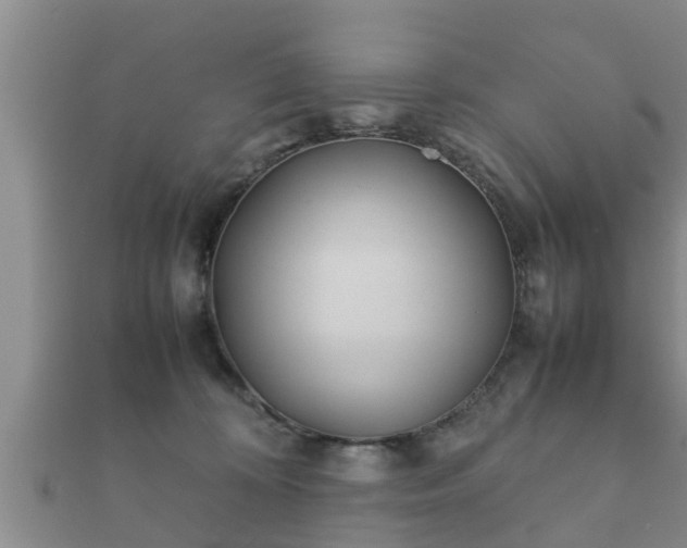 X0000112400324200908211121