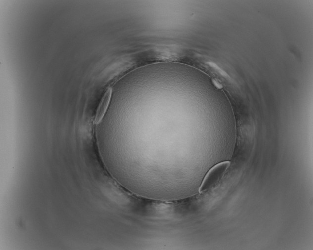 X0000112400325200908211121