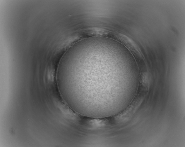 X0000112400326200908211121
