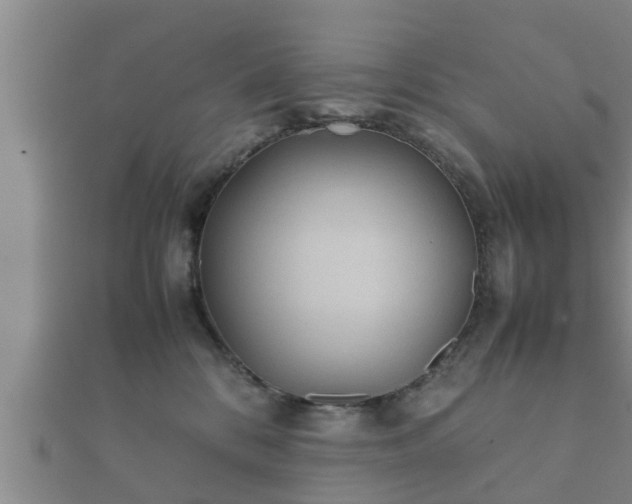 X0000112400328200908211121