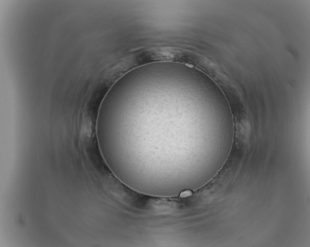 X0000112400331200908211121
