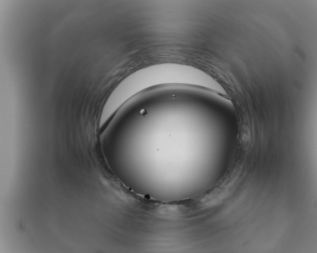 X0000112400332200908211121