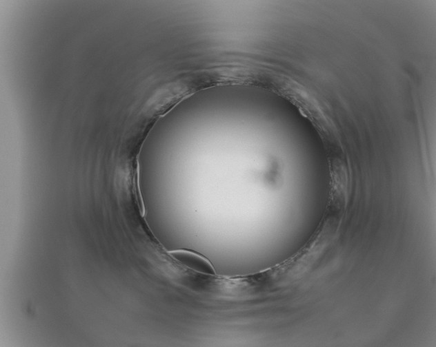 X0000112400333200908211121