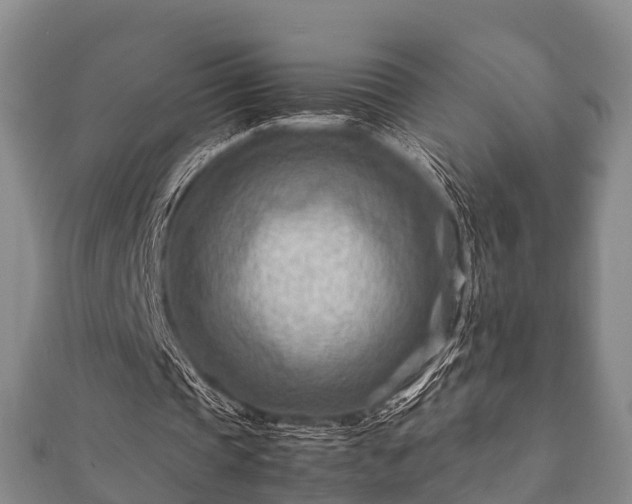 X0000112400337200908211120