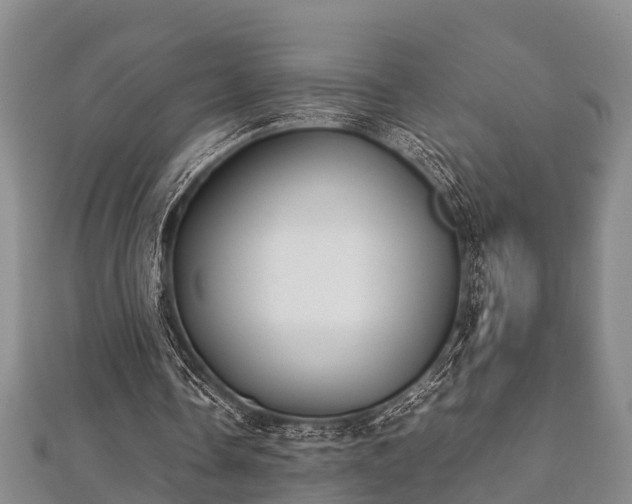 X0000112400338200908211120