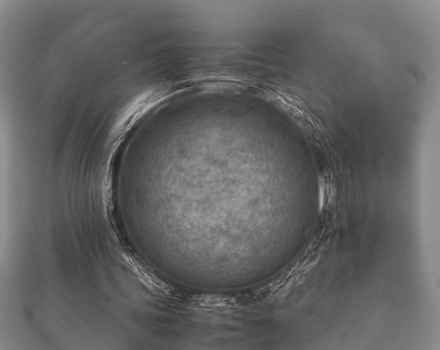 X0000112400339200908211120