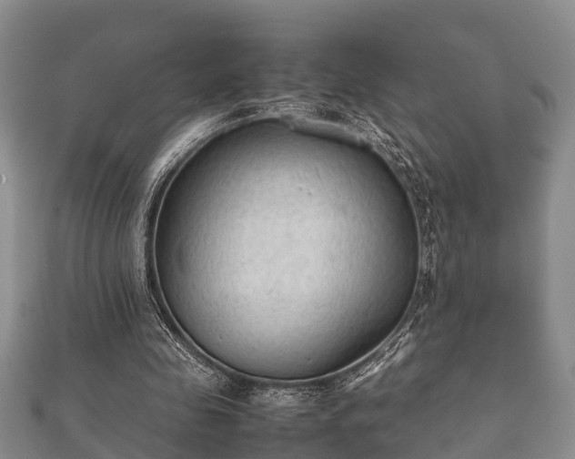 X0000112400341200908211120
