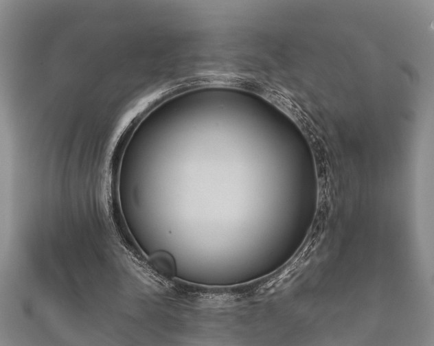 X0000112400342200908211120