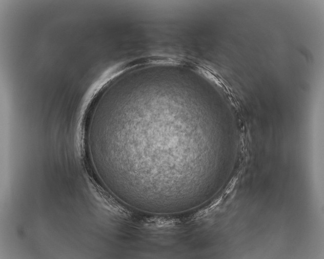 X0000112400343200908211120