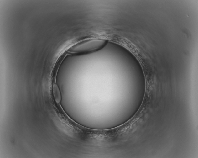 X0000112400344200908211120