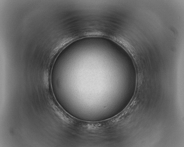 X0000112400345200908211120