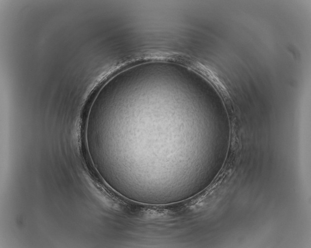 X0000112400346200908211120