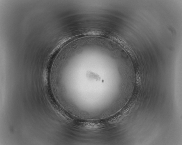 X0000112400347200908211120