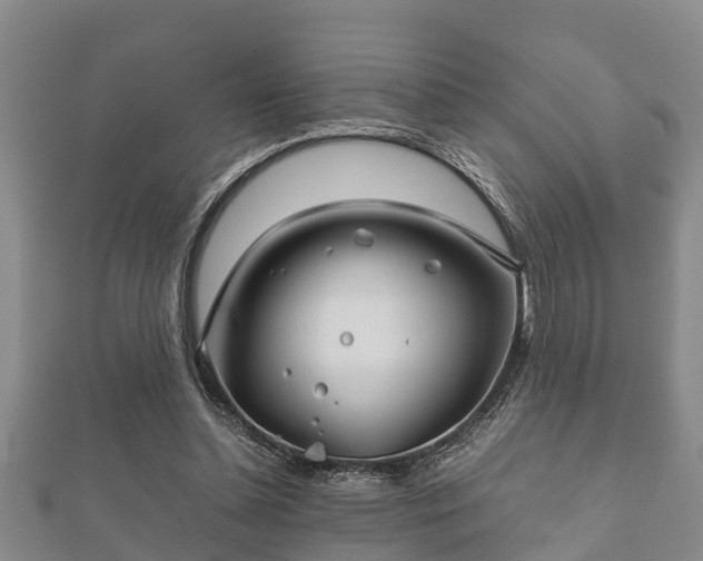 X0000112400348200908211120