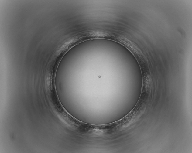 X0000112400352200908211120