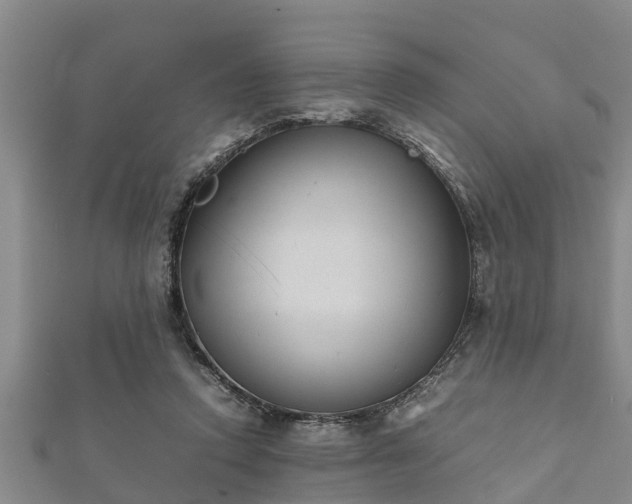 X0000112400354200908211120
