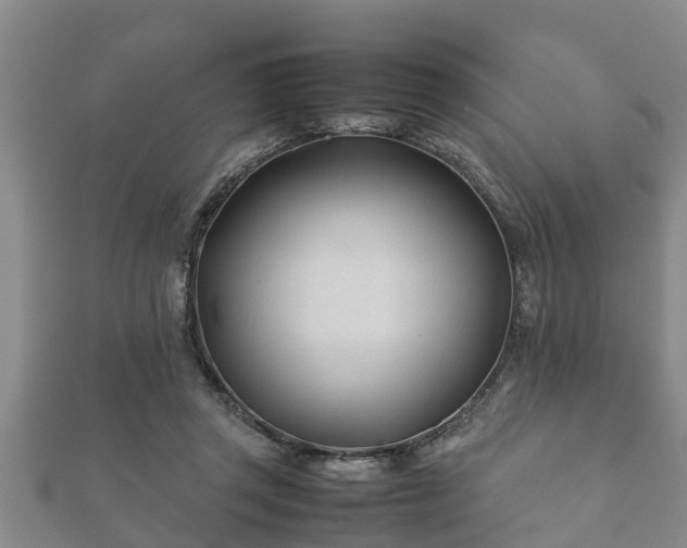 X0000112400357200908211120