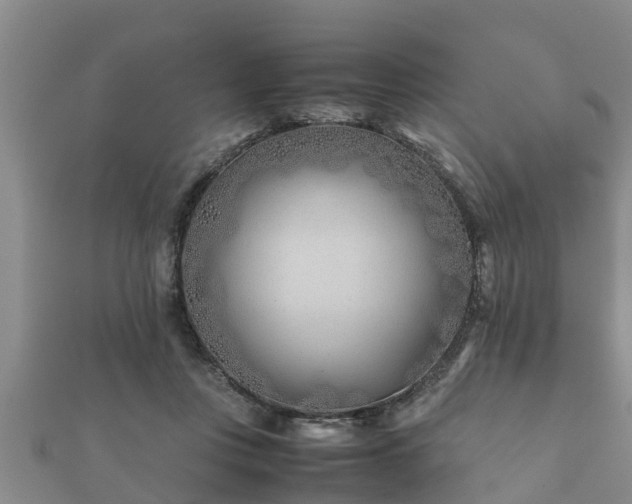 X0000112400359200908211120