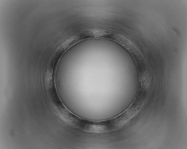 X0000112400360200908211120