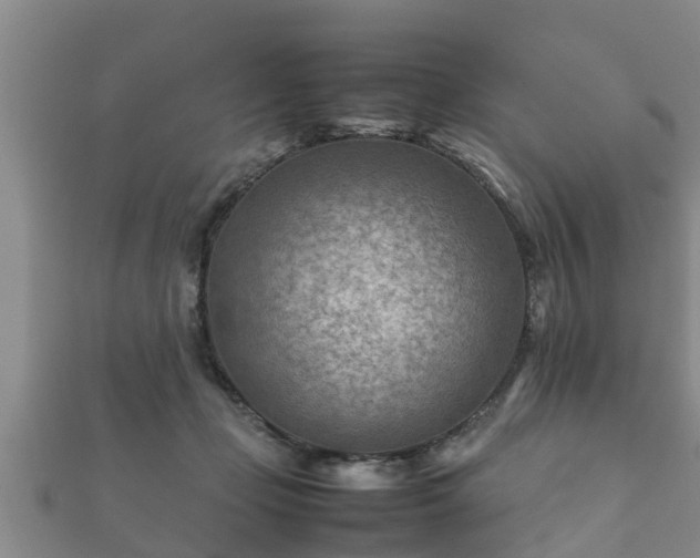 X0000112400365200908211120
