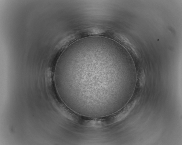 X0000112400366200908211120