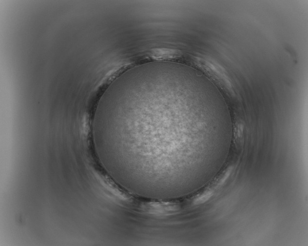X0000112400367200908211120